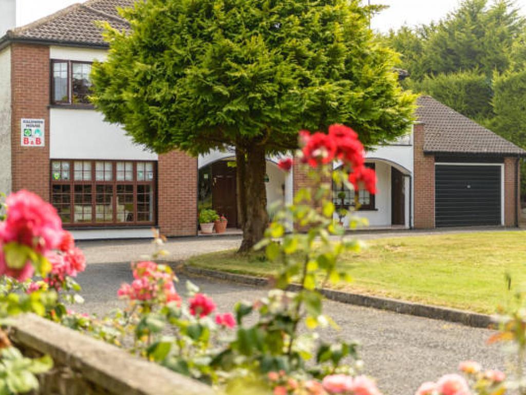 Killowen House B&B Дроэда Экстерьер фото