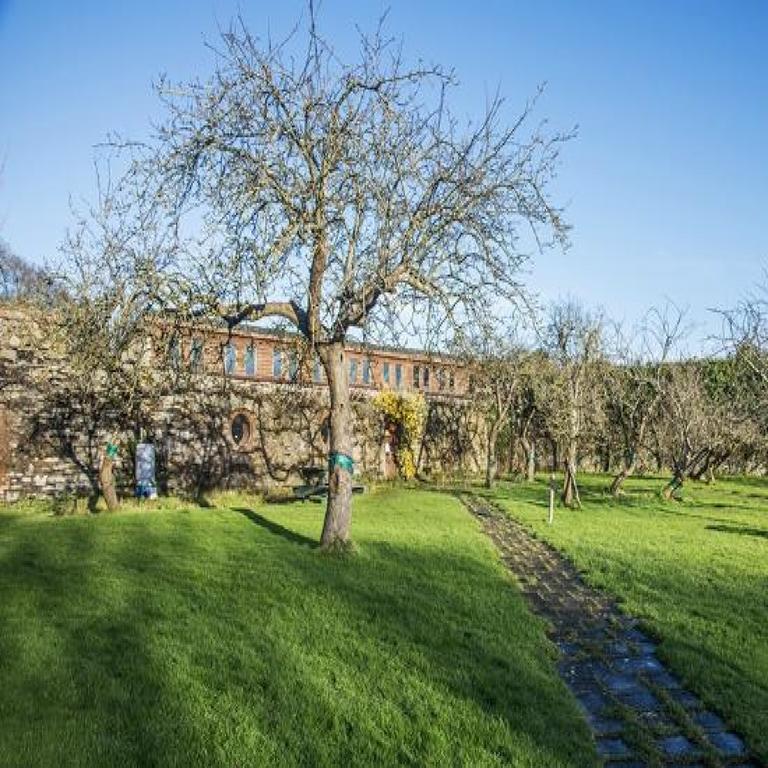 Killowen House B&B Дроэда Экстерьер фото