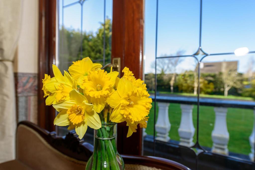 Killowen House B&B Дроэда Экстерьер фото